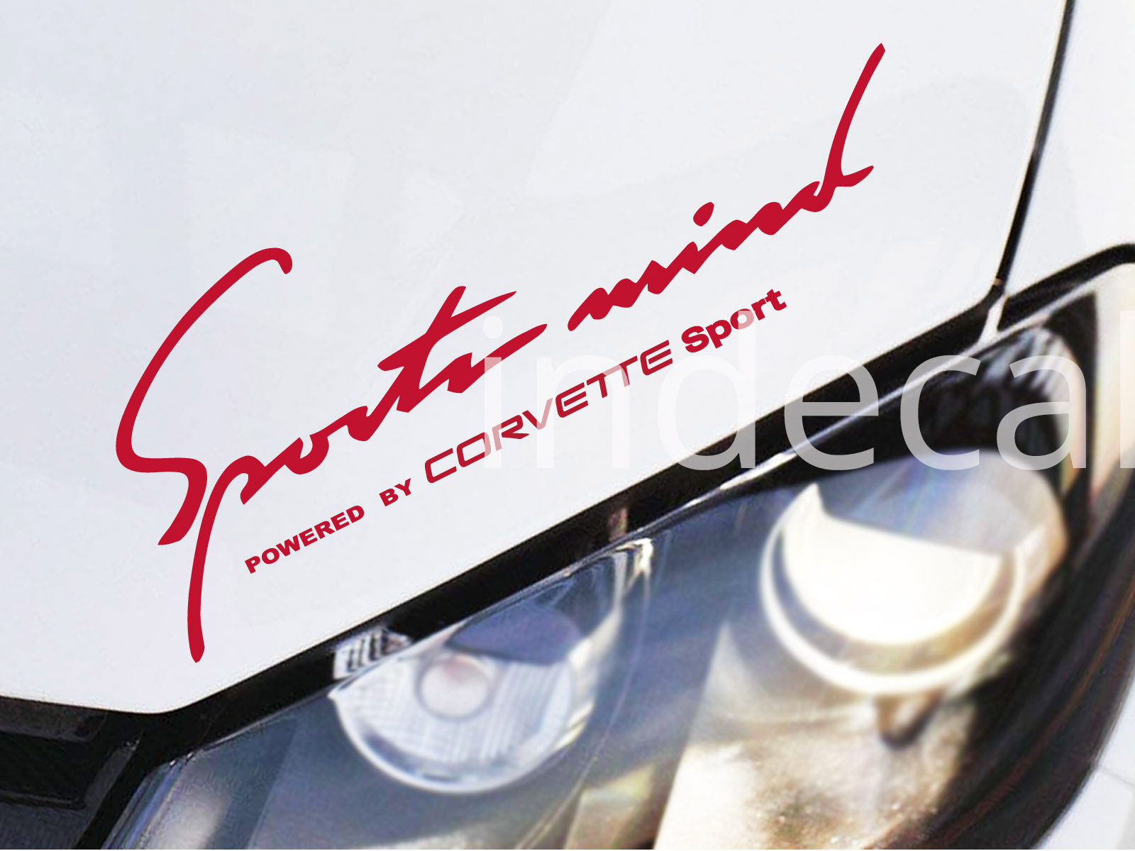 1 x Corvette Sports Mind Sticker - Red
